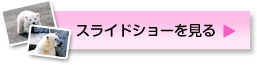 スライドショーを見る